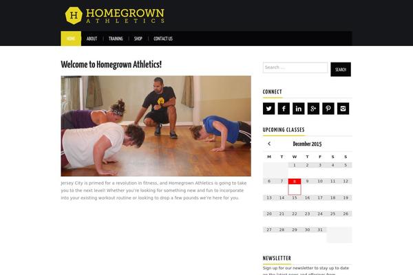 Hiero theme site design template sample