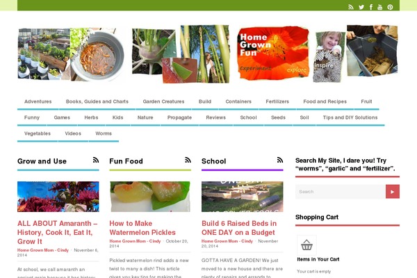 Site using MailChimp for WordPress plugin