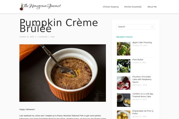 Chip Life theme site design template sample