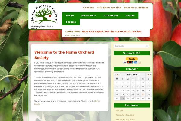 BUILDER theme site design template sample