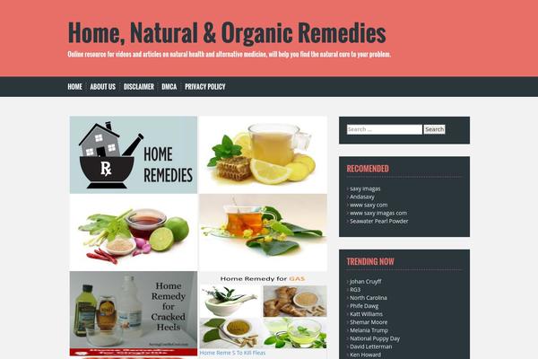 Solon theme site design template sample