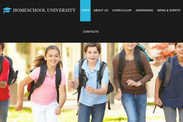 theme52267 theme websites examples