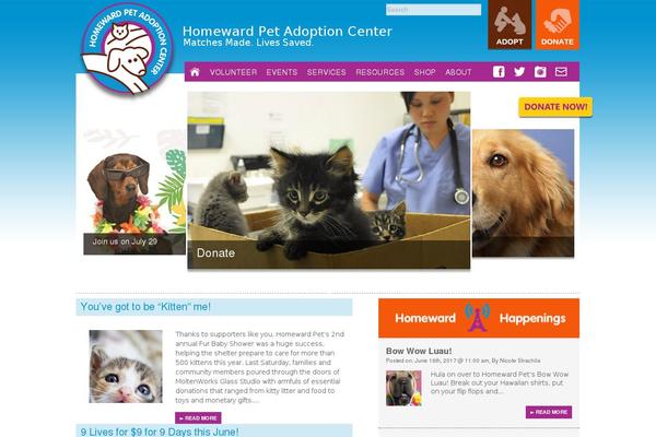 Site using WP Notification Bars plugin