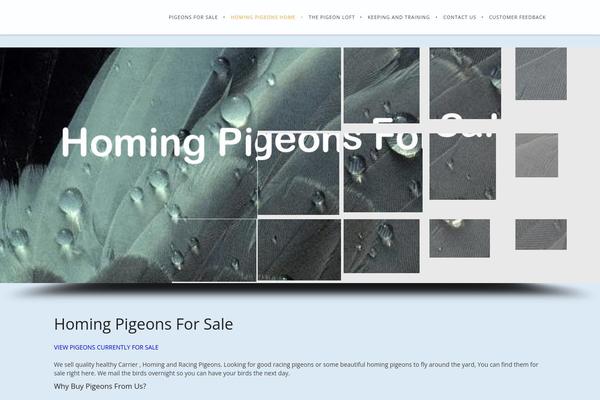 Site using WP Email Capture plugin