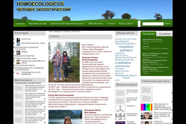 City News theme site design template sample