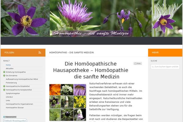 Site using Hueman-addons plugin