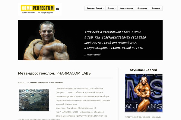 Respo Theme theme site design template sample