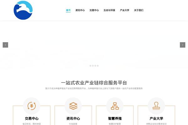 The7 theme site design template sample