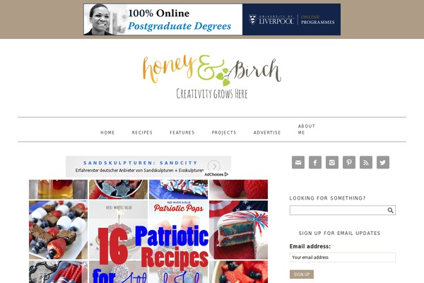 Site using Mediavine-trellis-images plugin