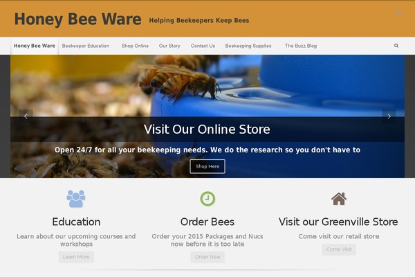 evolve theme site design template sample