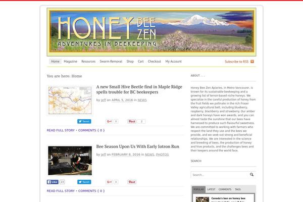 Canvas theme site design template sample