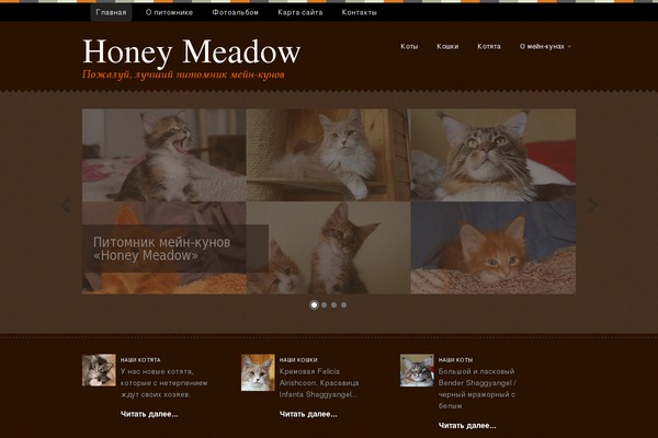 Swatch theme site design template sample