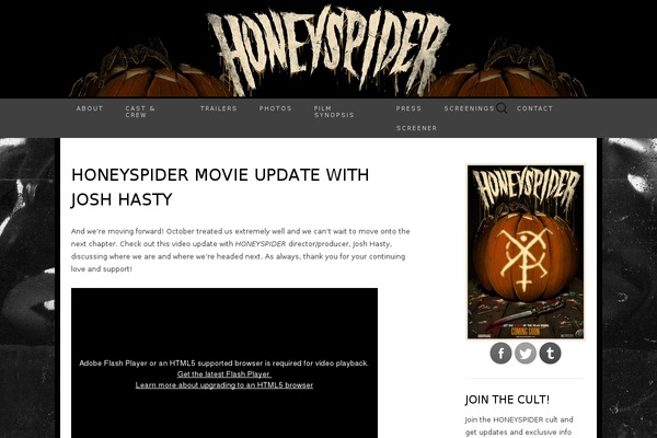 Suits theme site design template sample