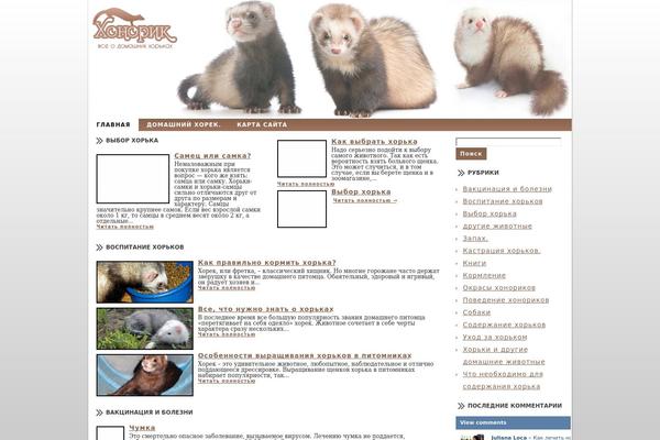 Business theme site design template sample