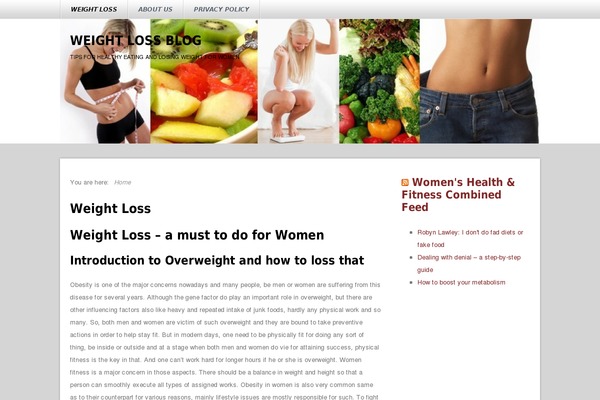 Sukelius-magazine theme site design template sample