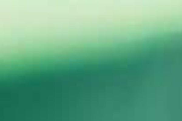 Twenty Seventeen theme site design template sample