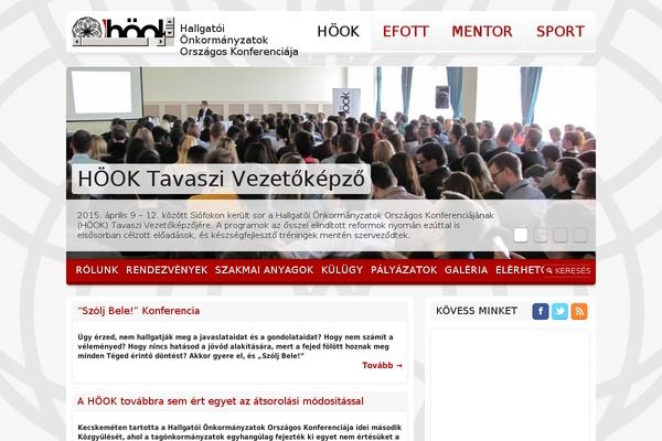 Hook theme site design template sample