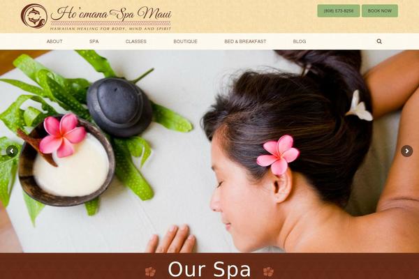 hawaii-1200px theme websites examples