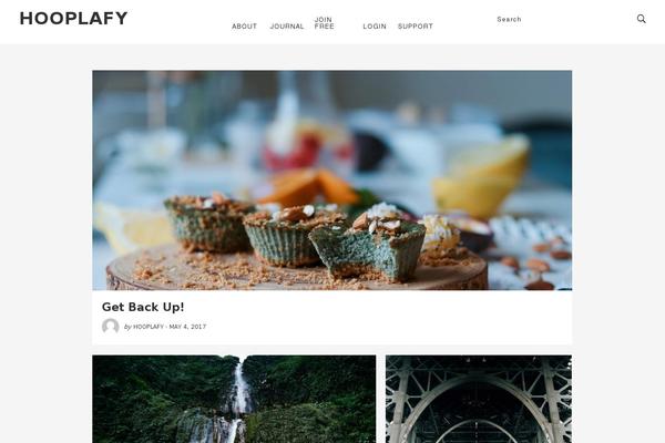 Diagnoseo theme site design template sample
