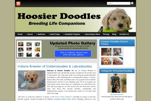 Graphene theme site design template sample