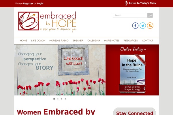 Dss theme site design template sample
