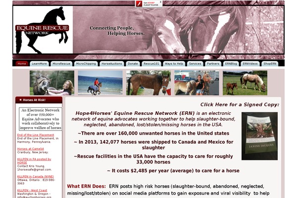 My Life theme site design template sample