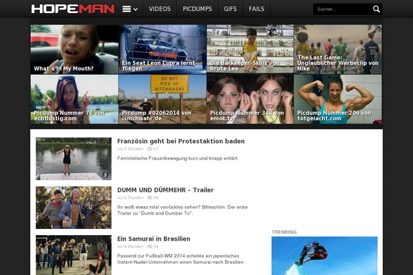 freshy-10 theme websites examples