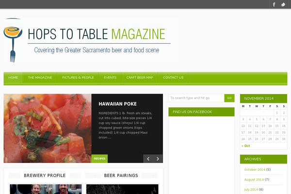 MagMan theme site design template sample