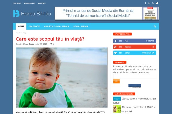 Site using Real Accessability plugin
