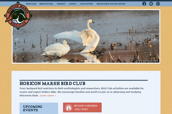 Custom theme site design template sample