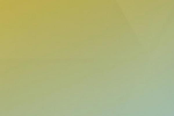 Site using Pageloader-by-bonfire plugin