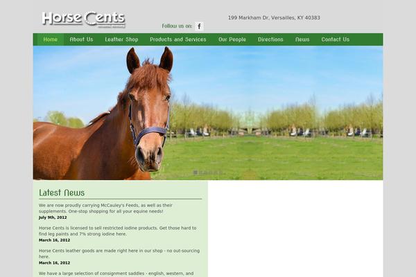 Virtue Premium theme site design template sample