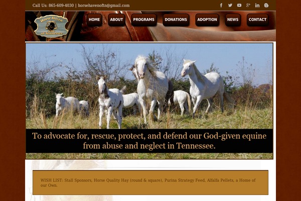 Avada theme site design template sample
