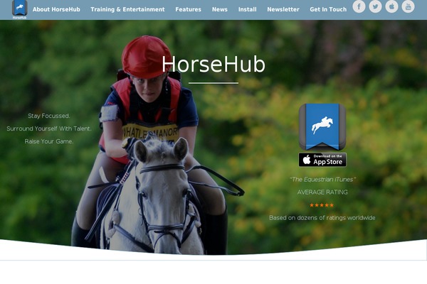 Angle theme site design template sample