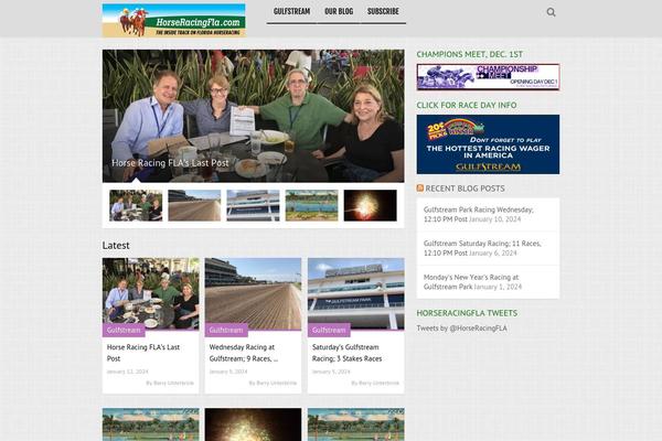 MagXP theme site design template sample