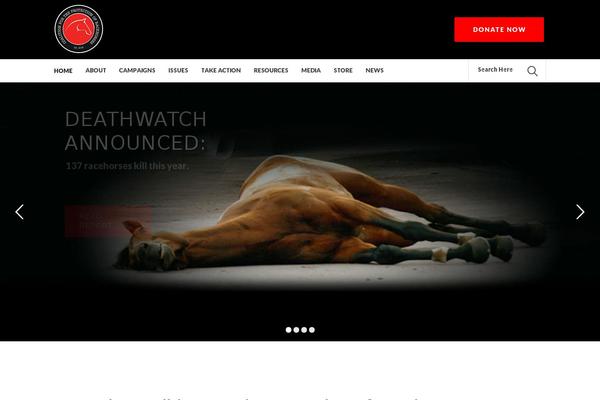 Charity theme site design template sample