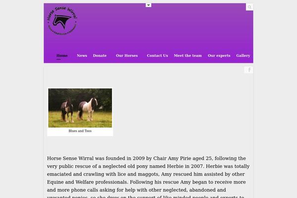 Site using Destaca-masonry-gallery plugin