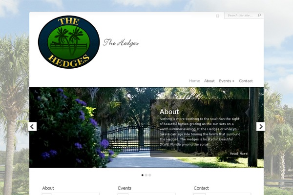 Chameleon theme site design template sample