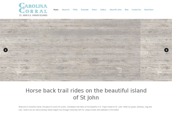 Mindful theme site design template sample