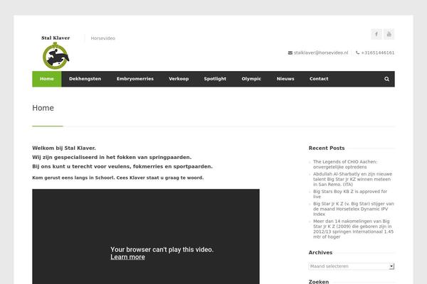 Site using Video Embed & Thumbnail Generator plugin
