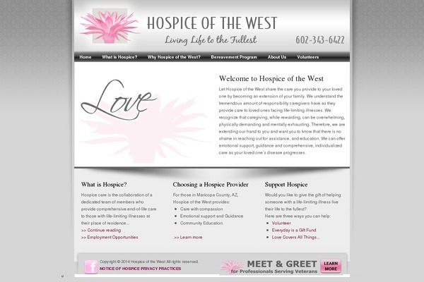 Essence-silver theme site design template sample