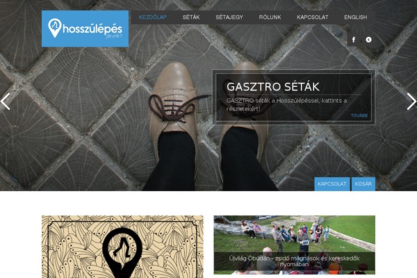Forked theme site design template sample