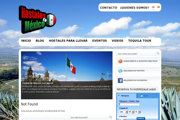 Avonne theme site design template sample