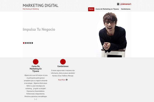 SKT IT Consultant theme site design template sample