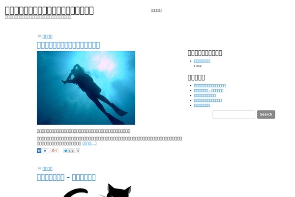 Simon WP Framework theme site design template sample