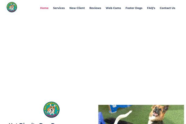 asata theme websites examples