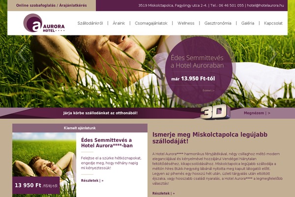Aurora theme site design template sample