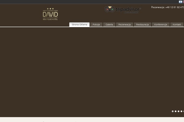 PureVISION theme site design template sample