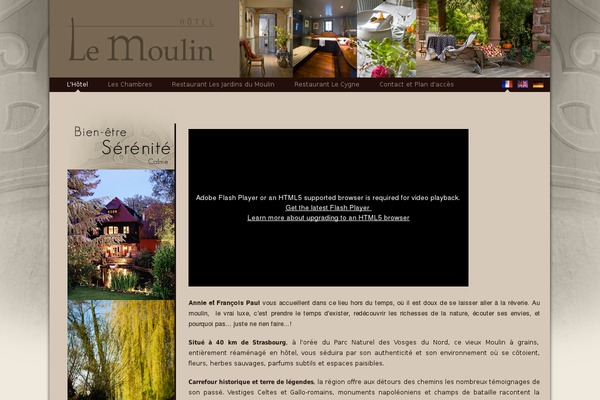 Colibri WP theme site design template sample