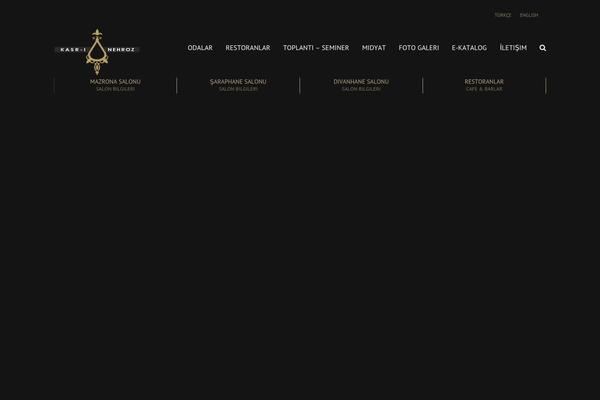 Leisure theme site design template sample